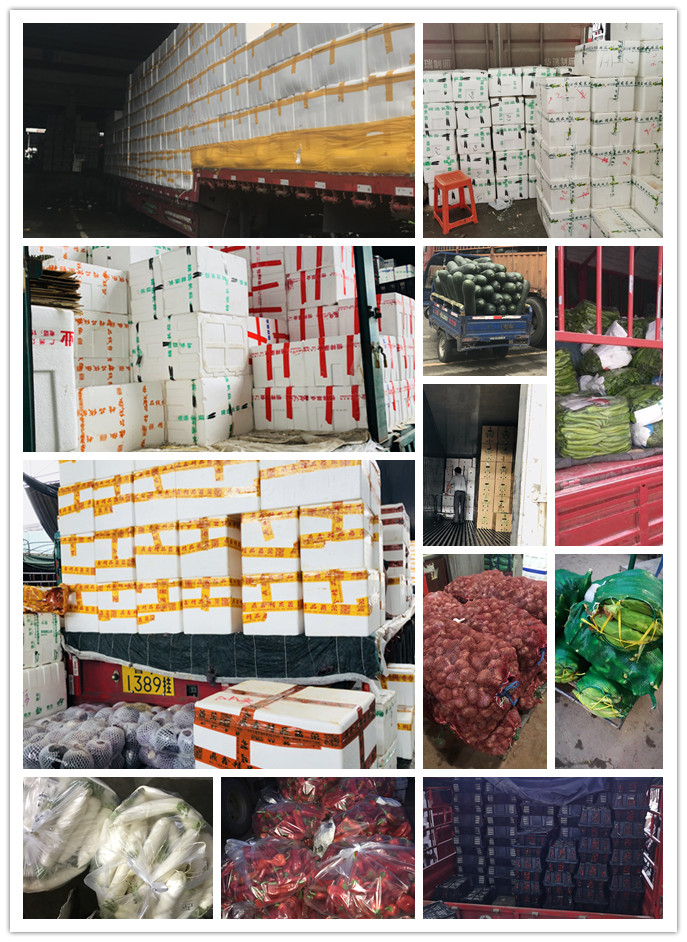 优发国际·随优而动一触即发