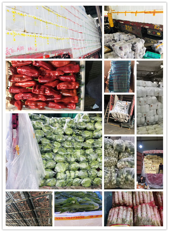 优发国际·随优而动一触即发