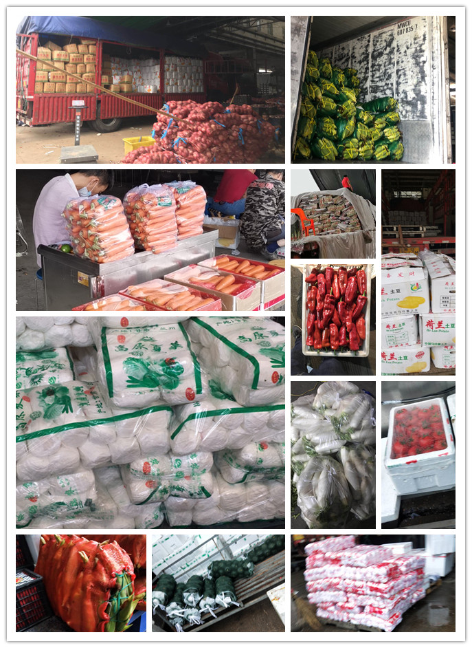 优发国际·随优而动一触即发