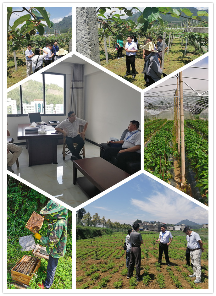 优发国际·随优而动一触即发