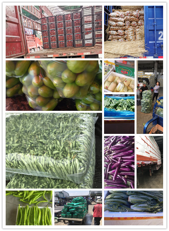 优发国际·随优而动一触即发