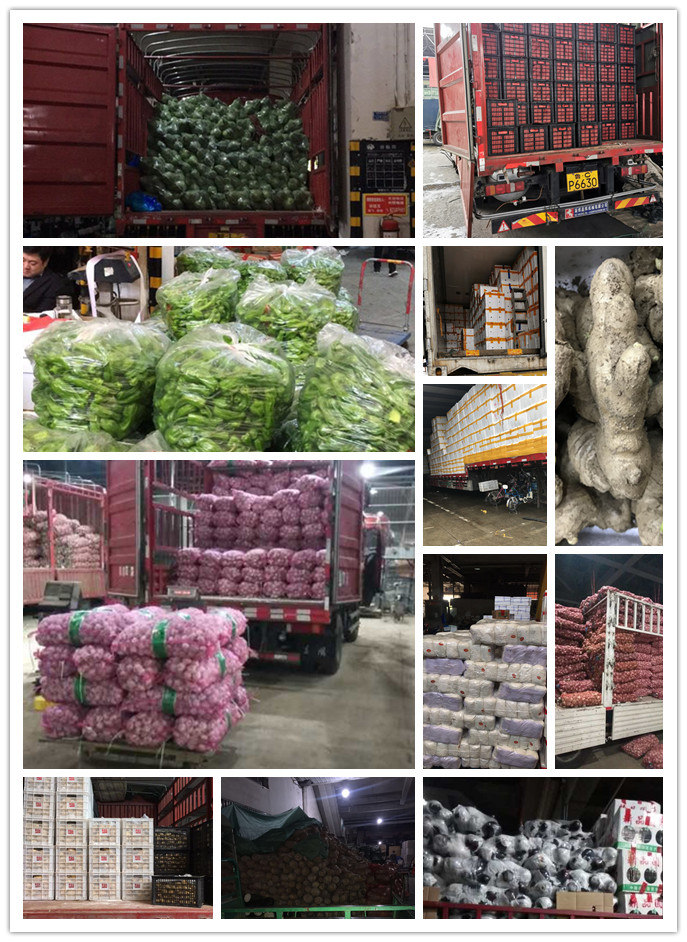 优发国际·随优而动一触即发