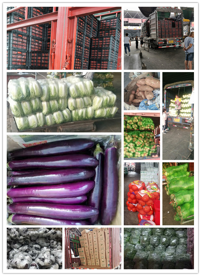 优发国际·随优而动一触即发