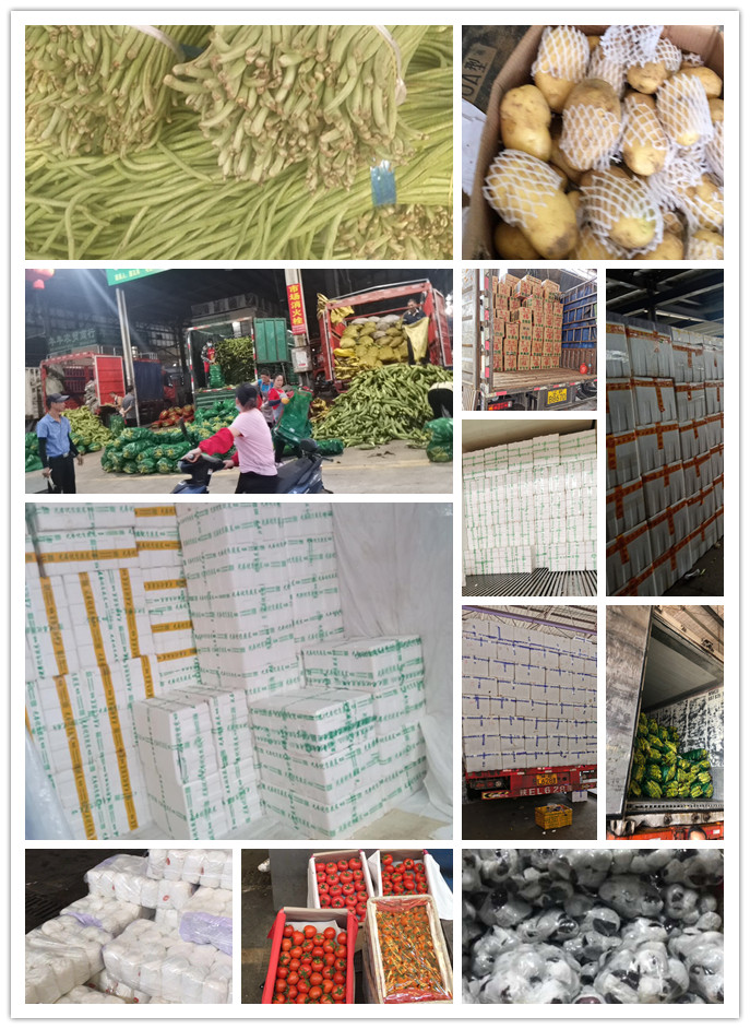 优发国际·随优而动一触即发