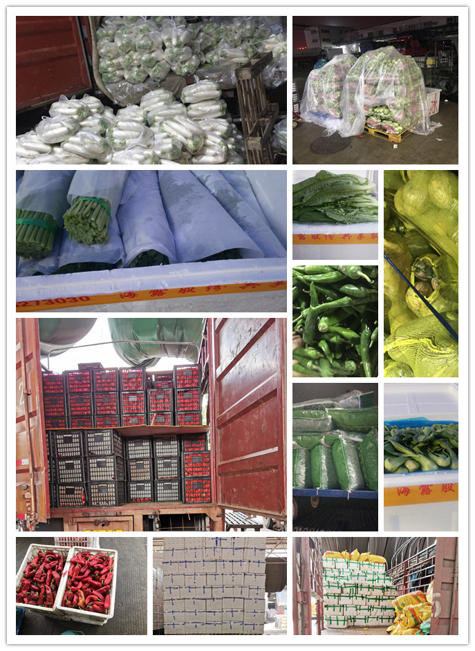 优发国际·随优而动一触即发