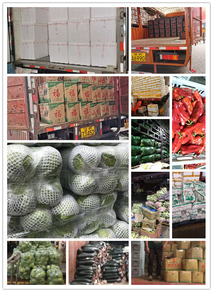 优发国际·随优而动一触即发