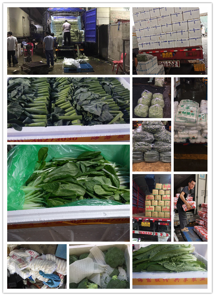 优发国际·随优而动一触即发