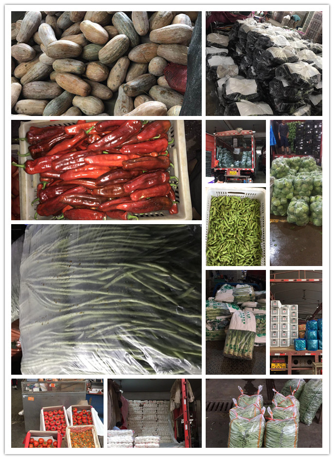 优发国际·随优而动一触即发