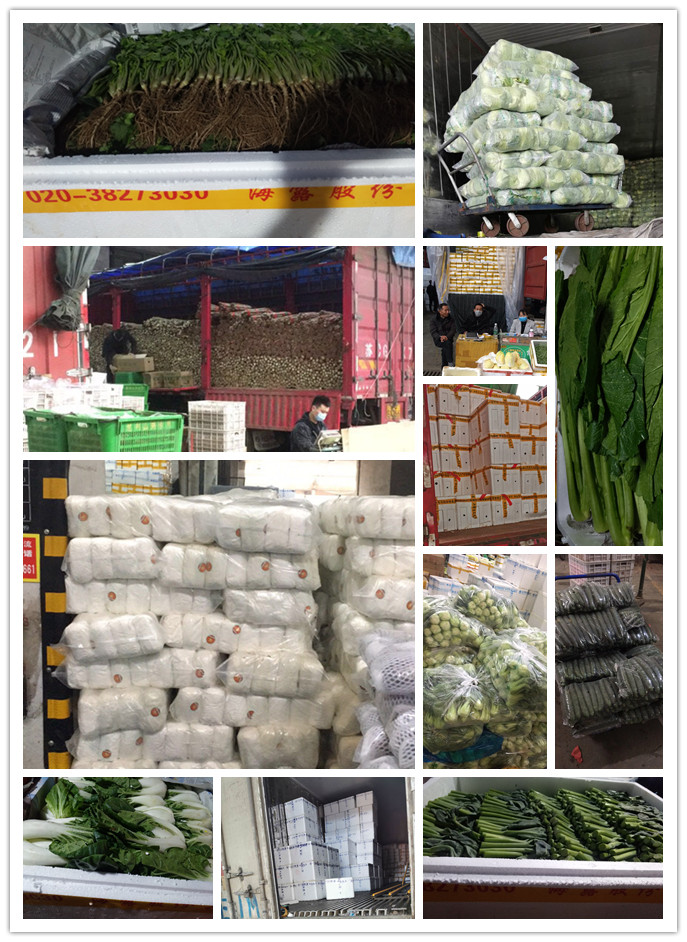 优发国际·随优而动一触即发