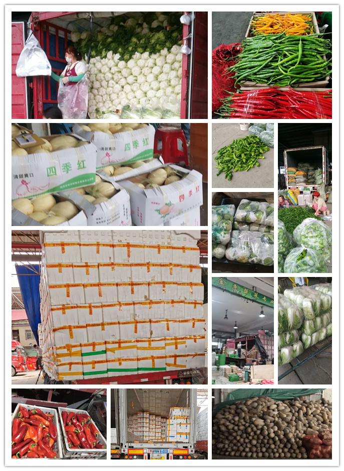 优发国际·随优而动一触即发