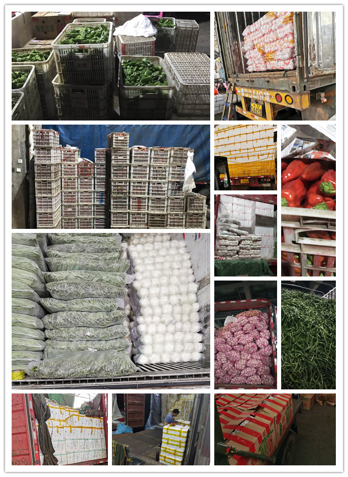 优发国际·随优而动一触即发