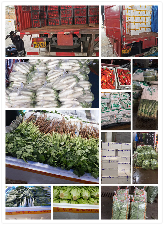 优发国际·随优而动一触即发