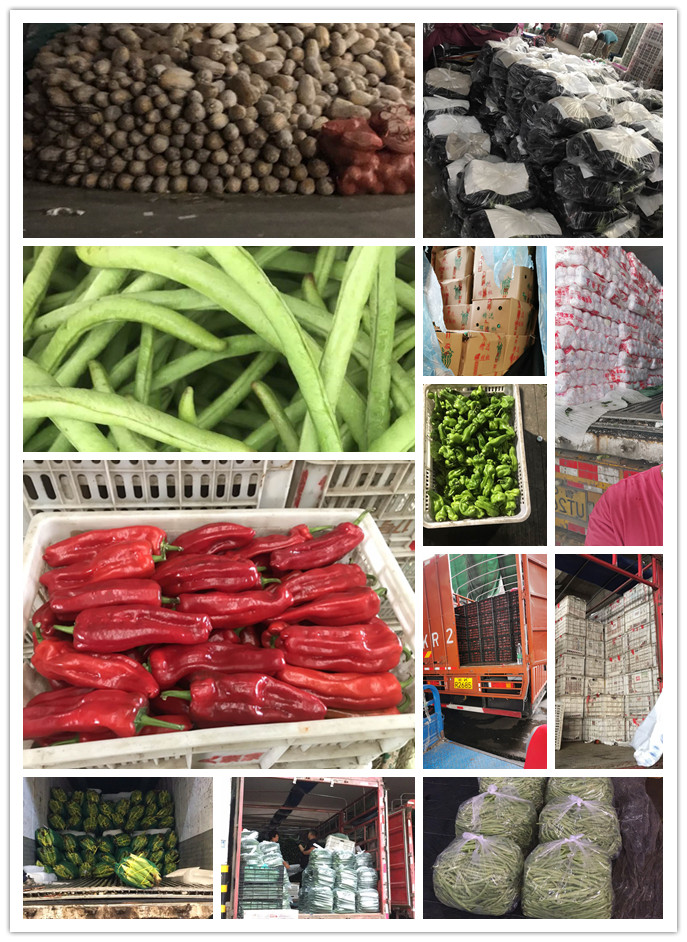 优发国际·随优而动一触即发