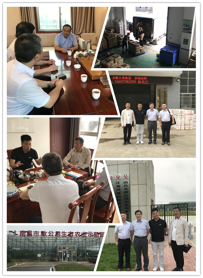 优发国际·随优而动一触即发