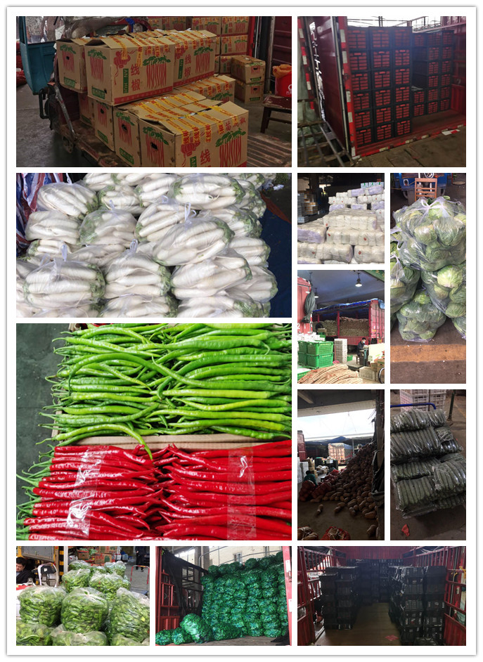 优发国际·随优而动一触即发