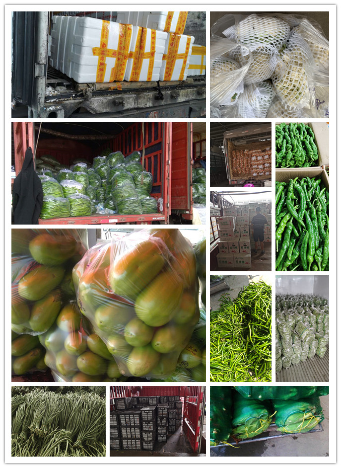 优发国际·随优而动一触即发