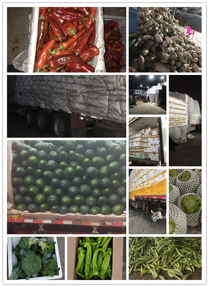 优发国际·随优而动一触即发