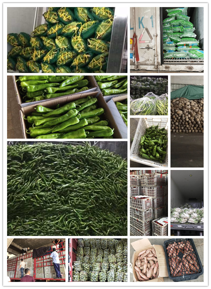 优发国际·随优而动一触即发