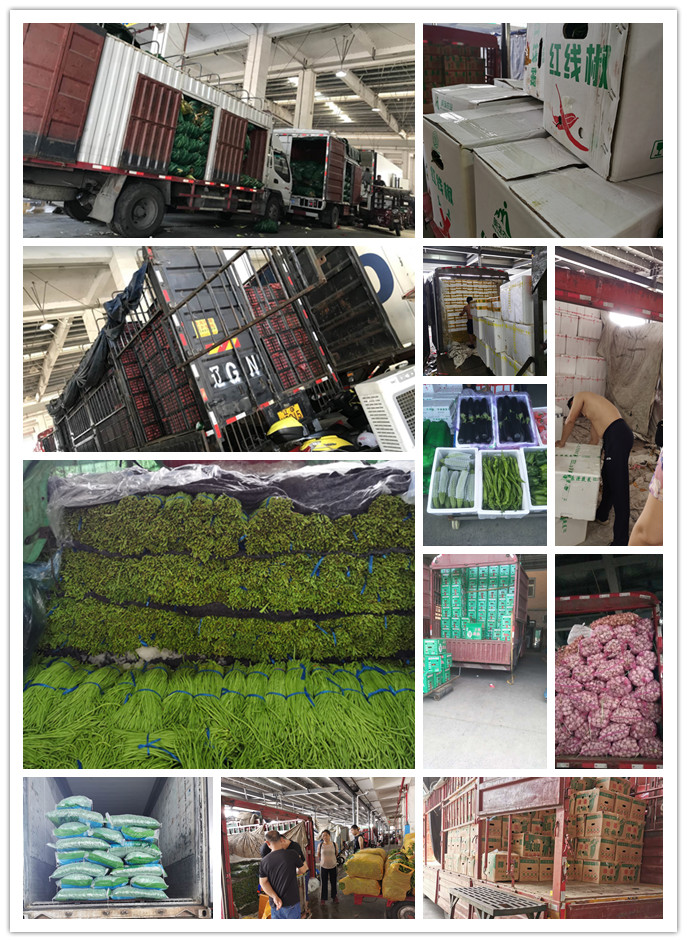 优发国际·随优而动一触即发