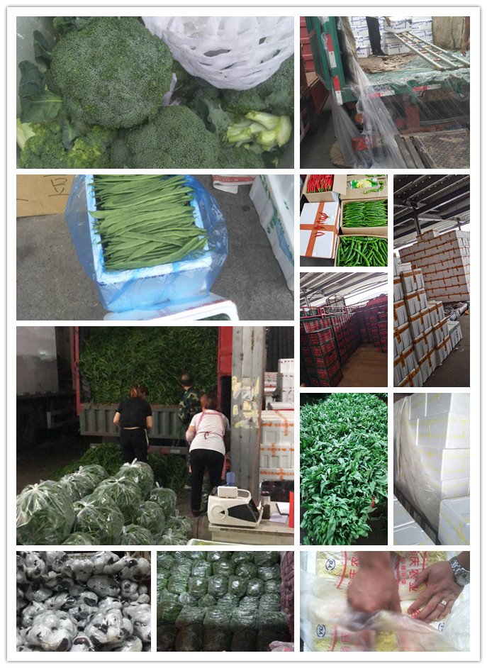 优发国际·随优而动一触即发