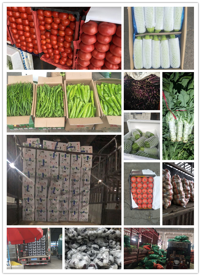 优发国际·随优而动一触即发