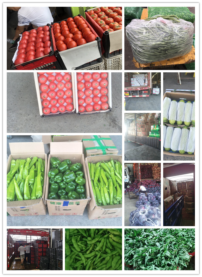 优发国际·随优而动一触即发