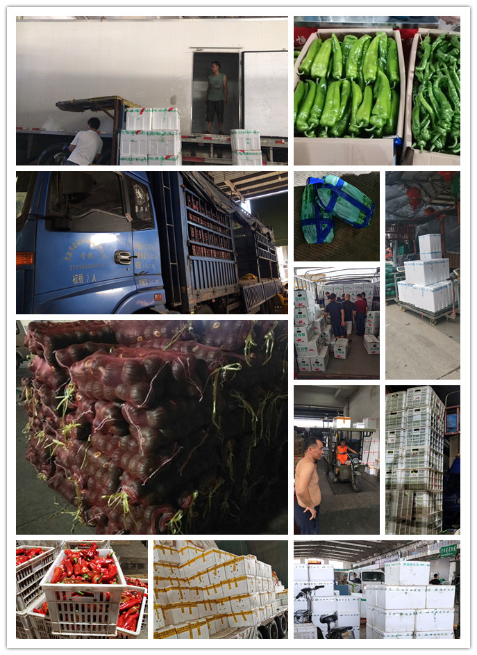 优发国际·随优而动一触即发