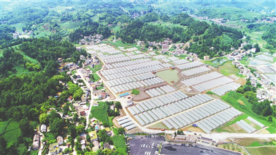 优发国际·随优而动一触即发