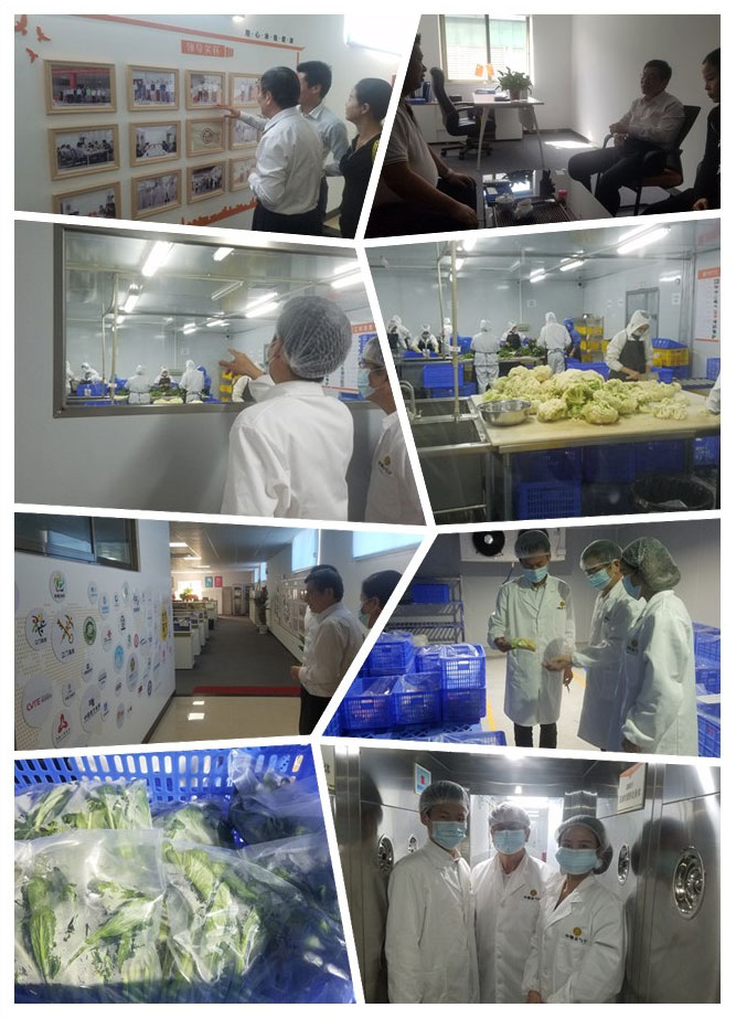 优发国际·随优而动一触即发