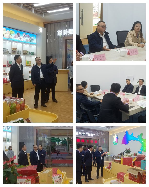 优发国际·随优而动一触即发