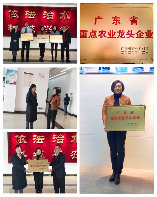 优发国际·随优而动一触即发