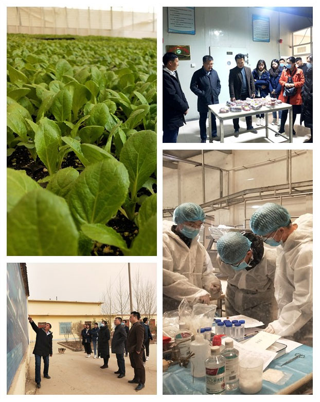 优发国际·随优而动一触即发