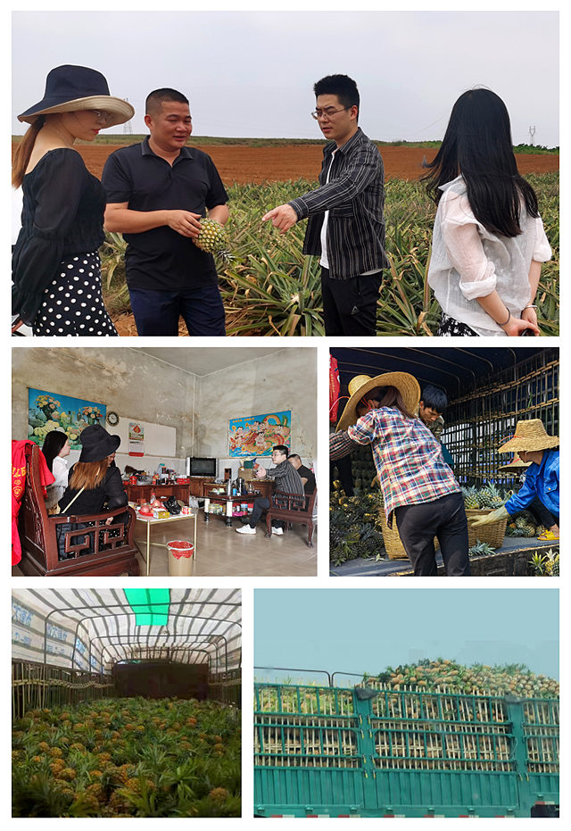 优发国际·随优而动一触即发