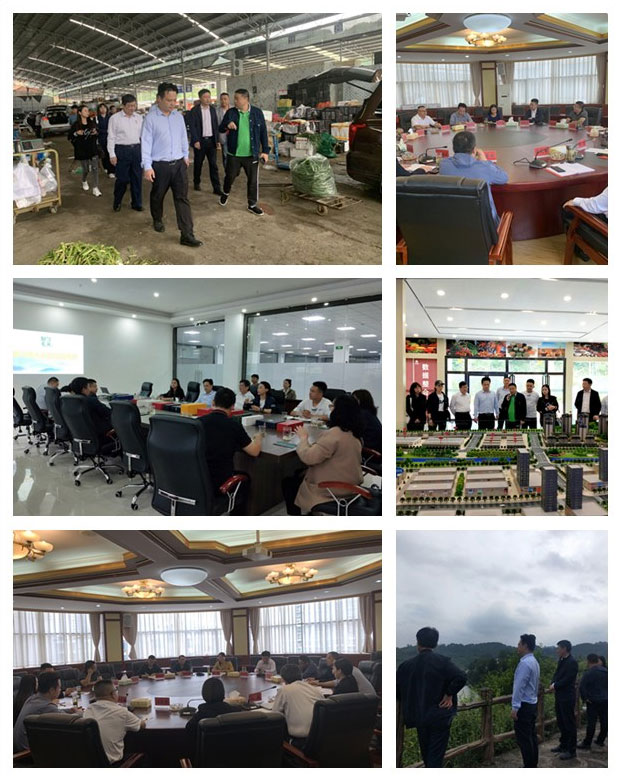 优发国际·随优而动一触即发