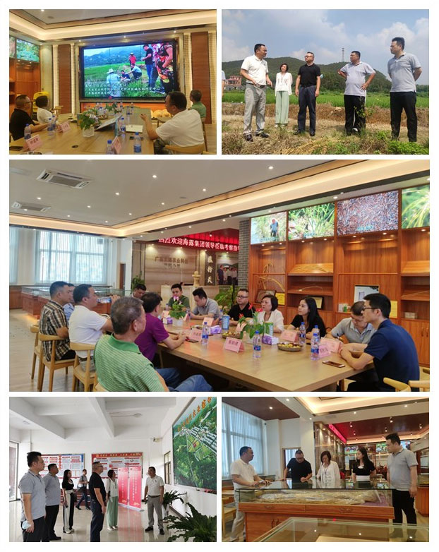 优发国际·随优而动一触即发