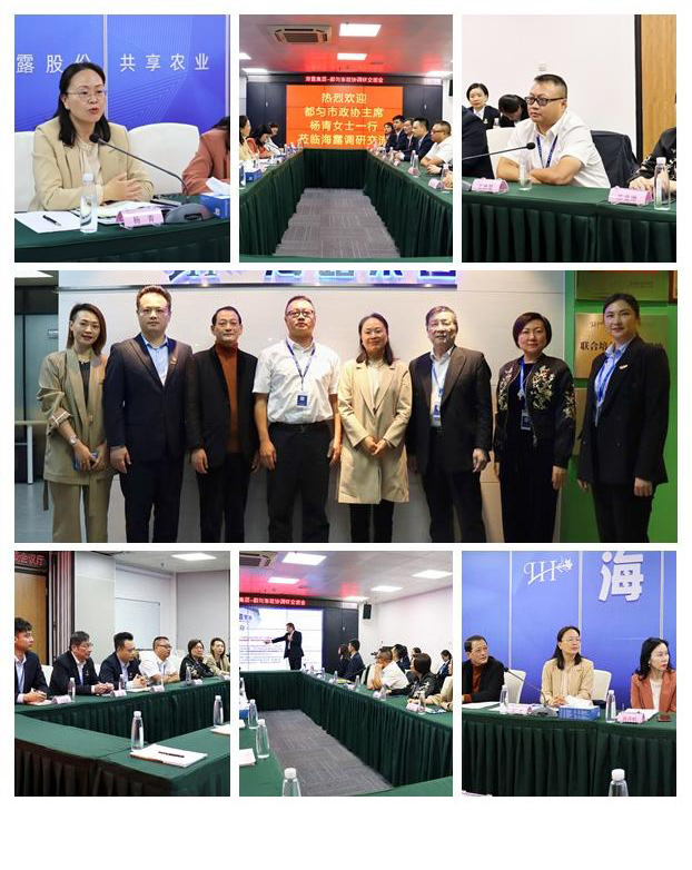 优发国际·随优而动一触即发