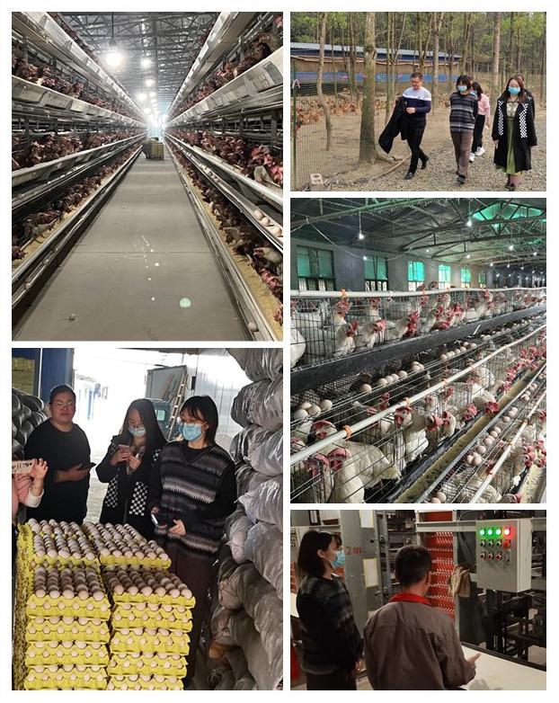 优发国际·随优而动一触即发