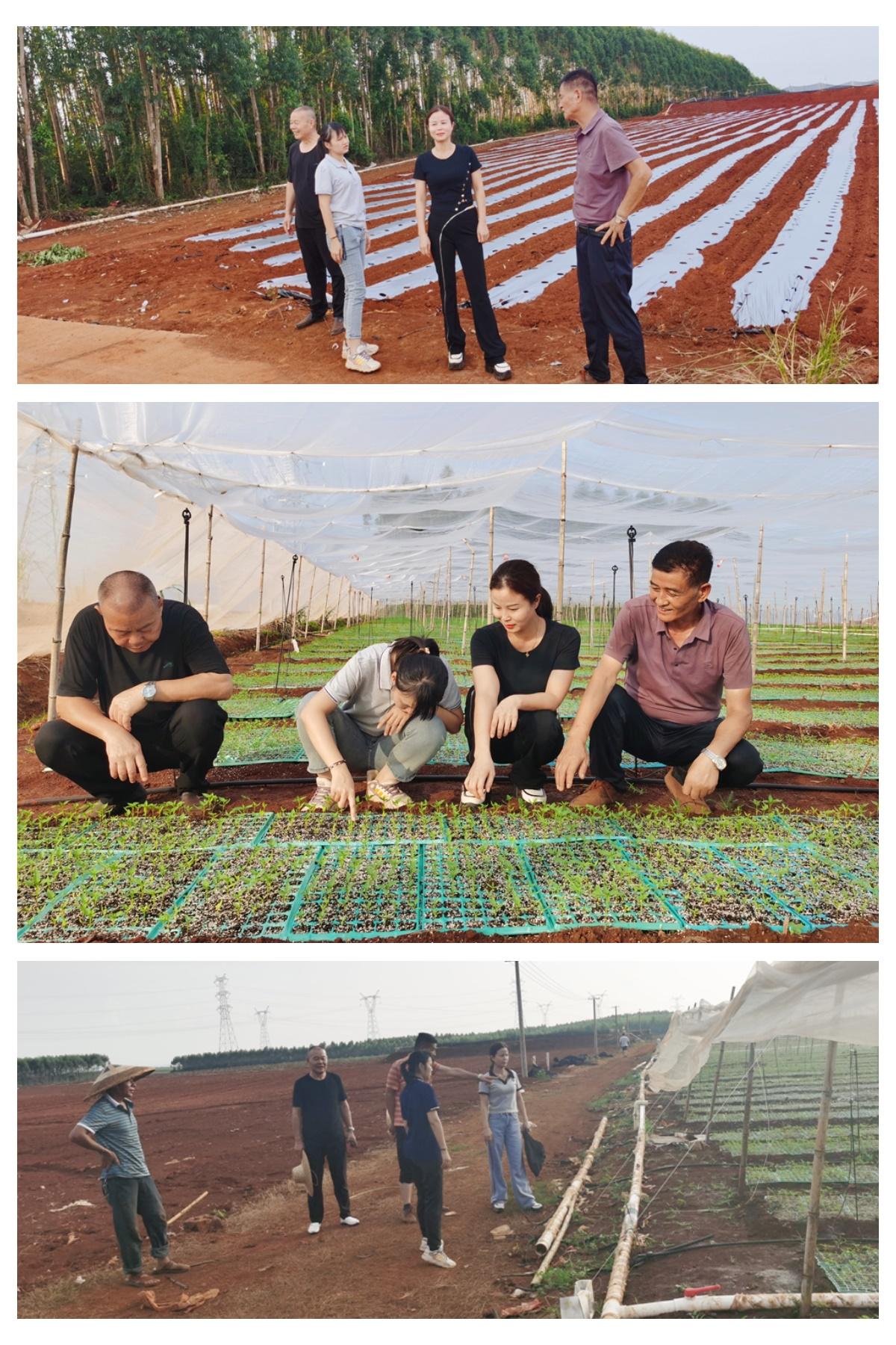 优发国际·随优而动一触即发