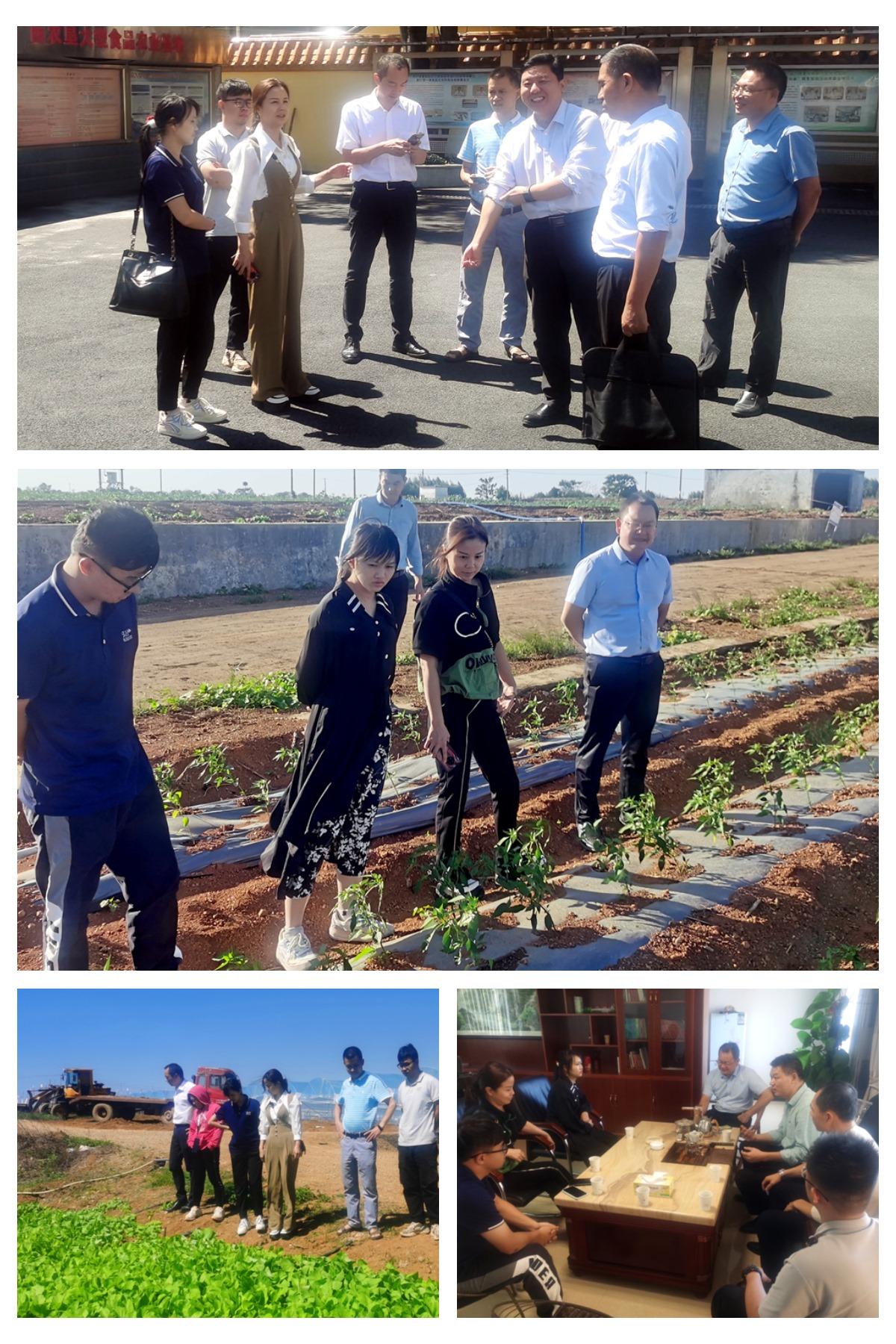 优发国际·随优而动一触即发