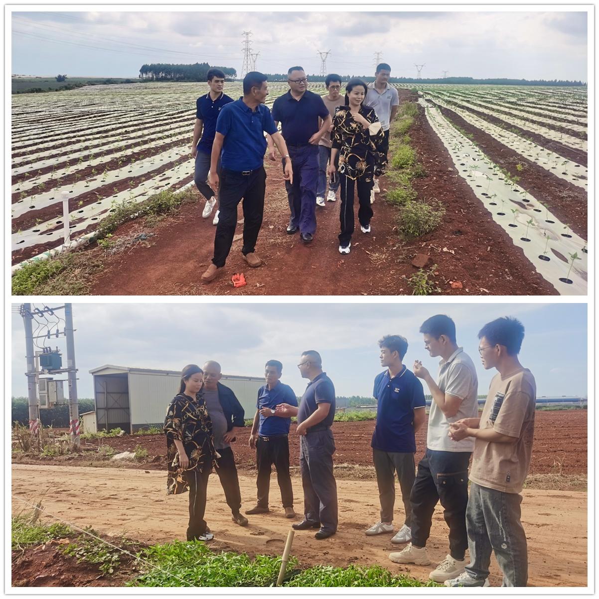 优发国际·随优而动一触即发