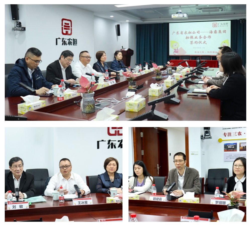 优发国际·随优而动一触即发