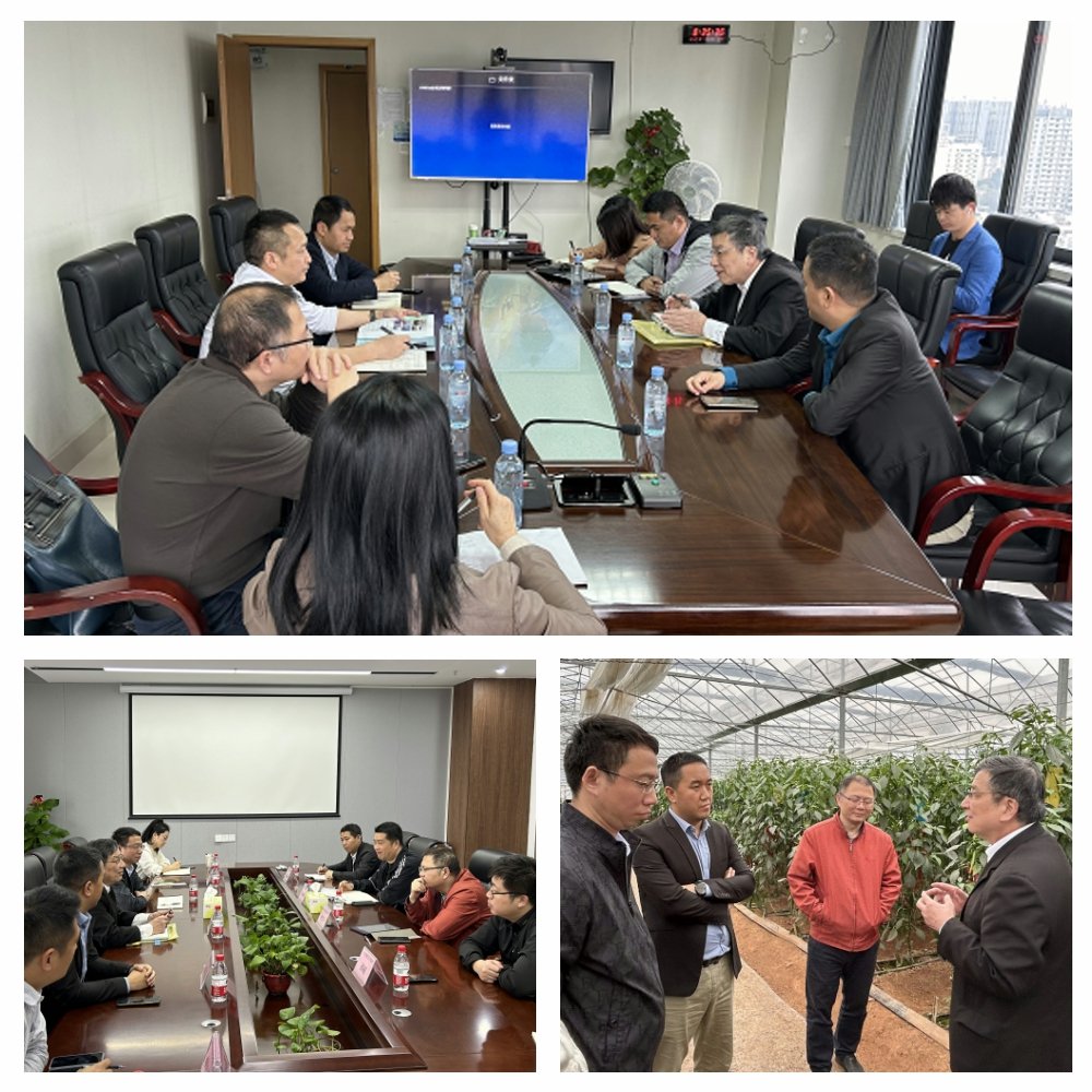 优发国际·随优而动一触即发