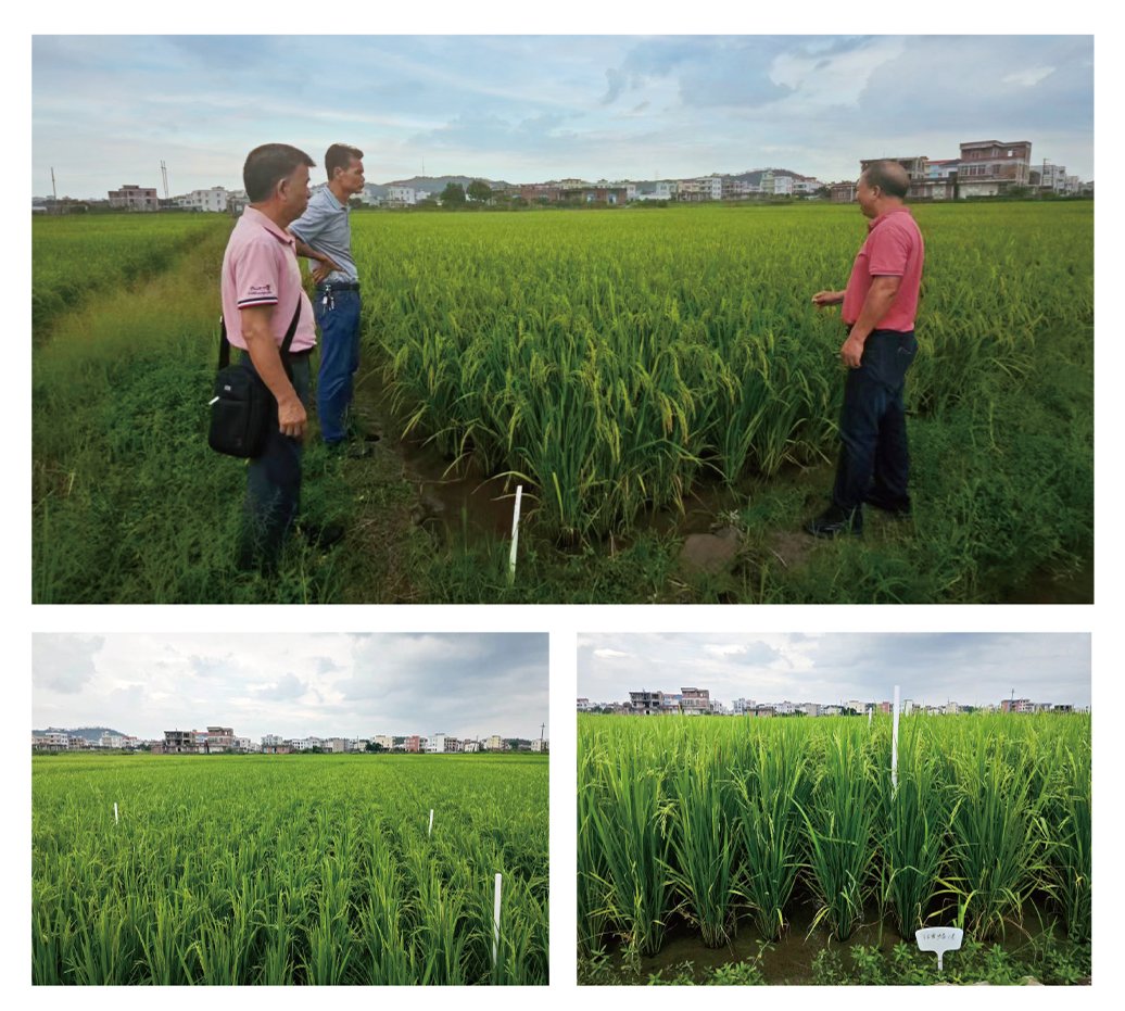 优发国际·随优而动一触即发