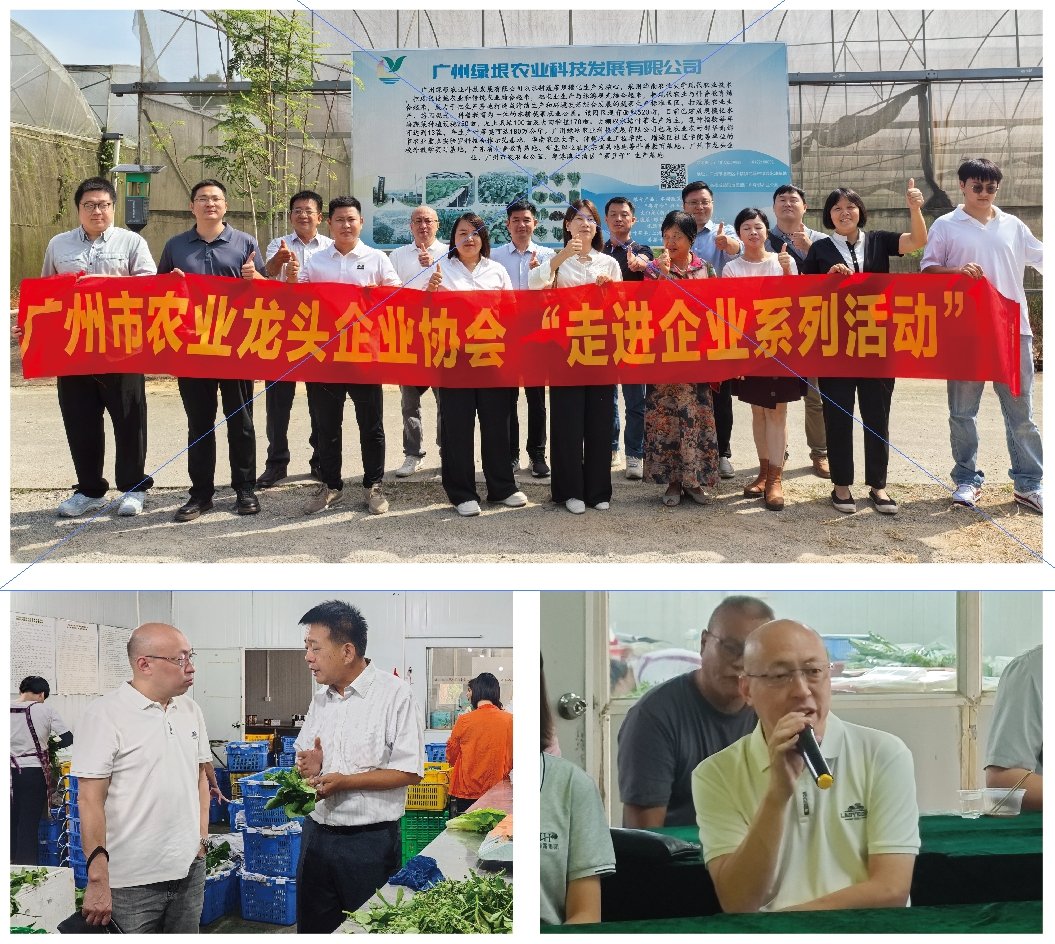 优发国际·随优而动一触即发