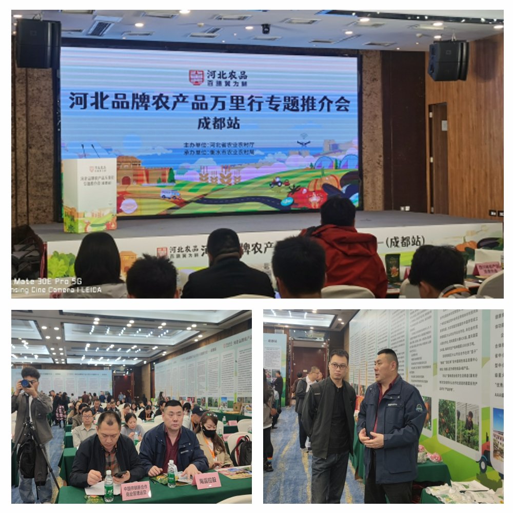 优发国际·随优而动一触即发