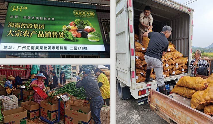 优发国际·随优而动一触即发