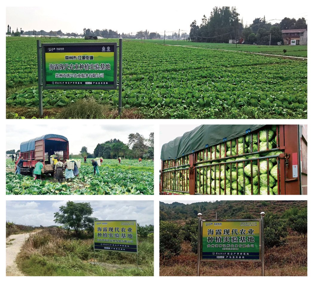 优发国际·随优而动一触即发