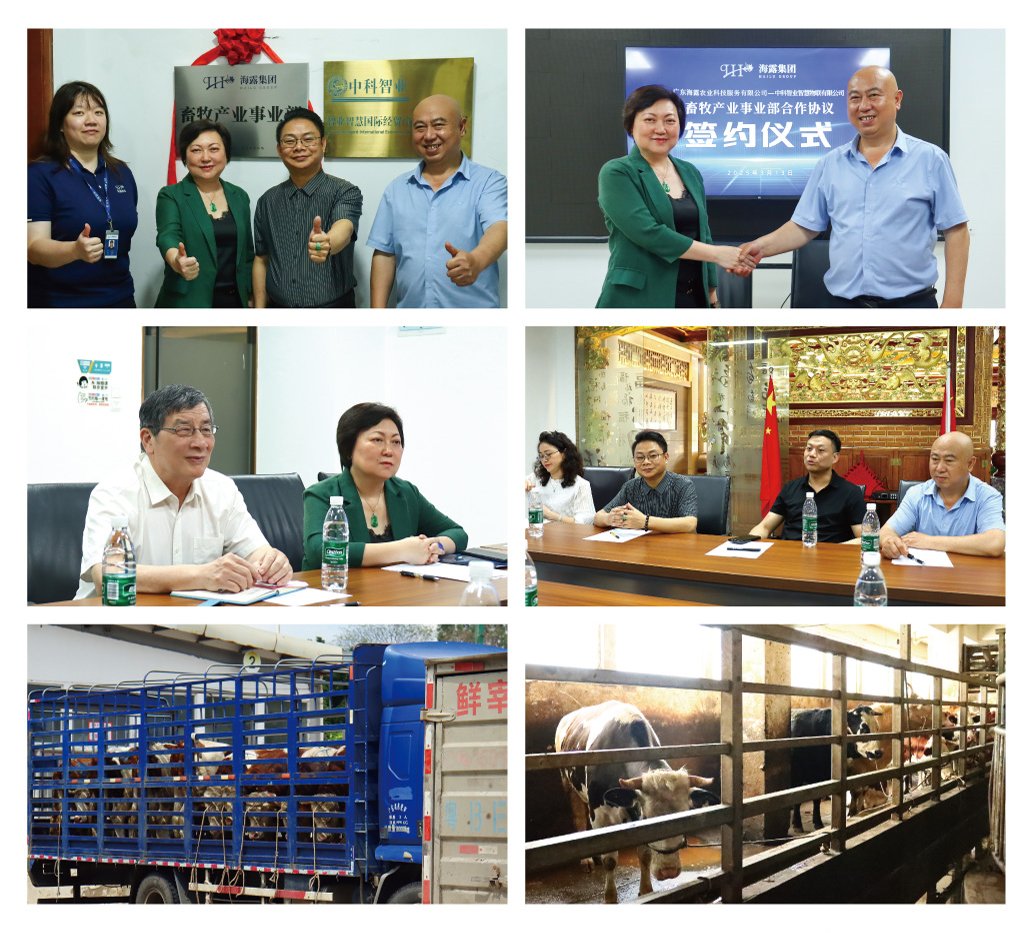 优发国际·随优而动一触即发