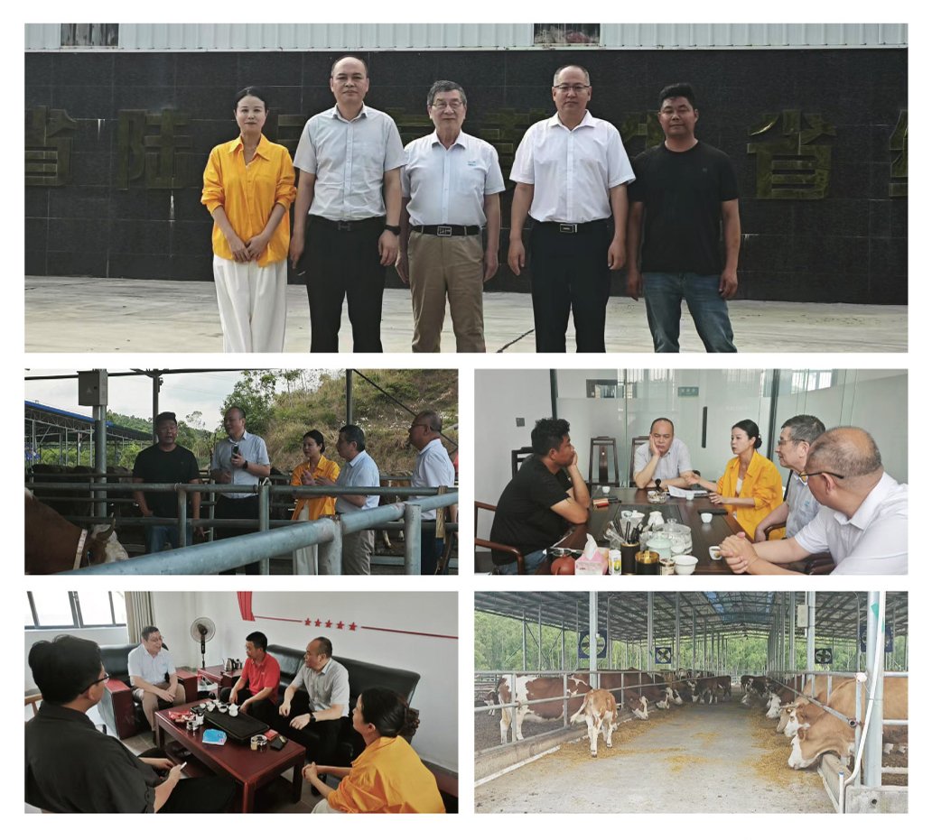 优发国际·随优而动一触即发