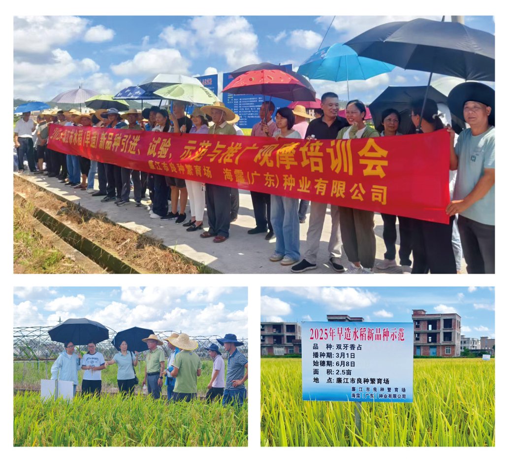 优发国际·随优而动一触即发